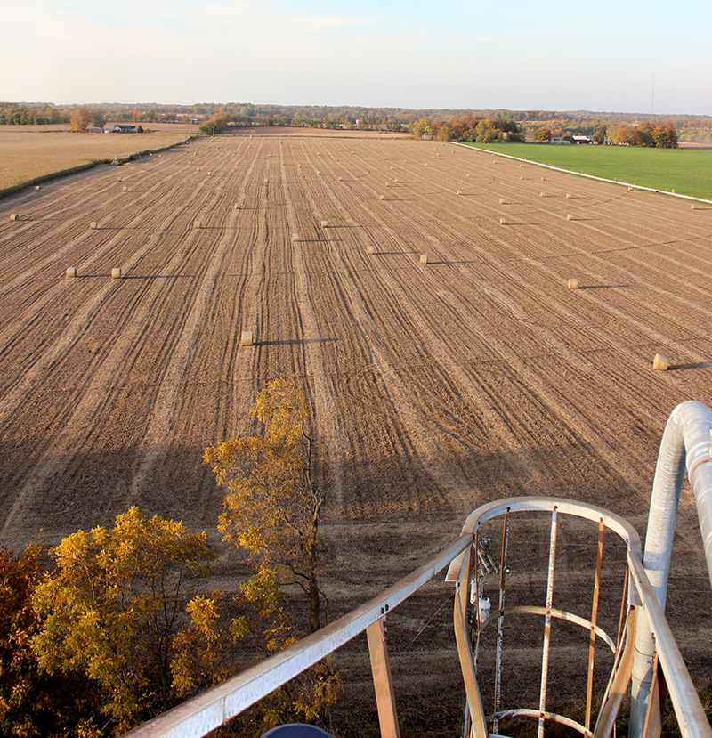 View from Top of the Silo
